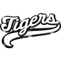 GLT78   BLACK GLITTER Thumbnail